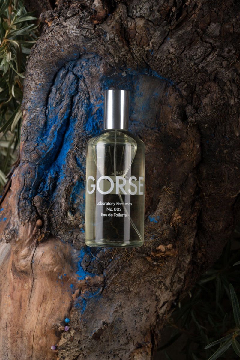 Laboratory Perfumes Gorse Eau de Toilette | Fragrance