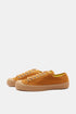 Novesta Star Master (Sedlova/Transparent) | Trainer